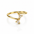 Anello (Copia 13)