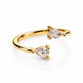 Anello (Copia 10)